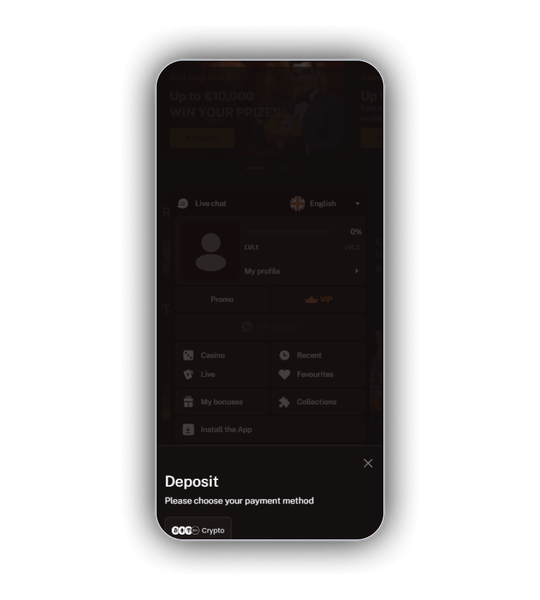 Wild Royal-betaalscherm met kaart-, wallet-, bank- en crypto-opties.